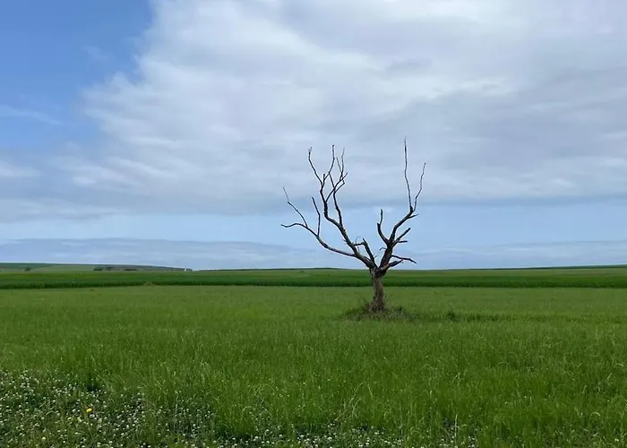 Διαμέρισμα Atico Con Terraza En